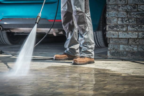 Best Pre-Holiday Cleaning  in Evansville, WI